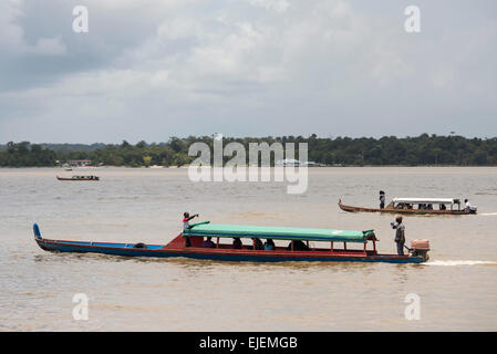 Korjaals sur la rivière Marowijne, Albina, Suriname Banque D'Images