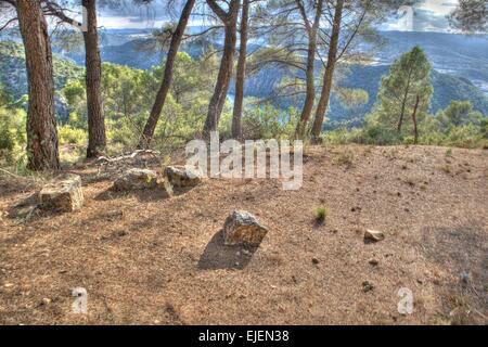 Marsh paysages spectaculaires de barrages et les forêts de La Alcarria, Guadalajara, Espagne Banque D'Images