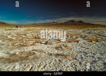 Vue panoramique sur le parc national de Sajama bolivien et certains de ses plus hauts sommets Banque D'Images