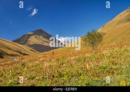 De vertes collines pittoresques en Ala Archa parc national dans les montagnes du Tian Shan au Kirghizstan Banque D'Images