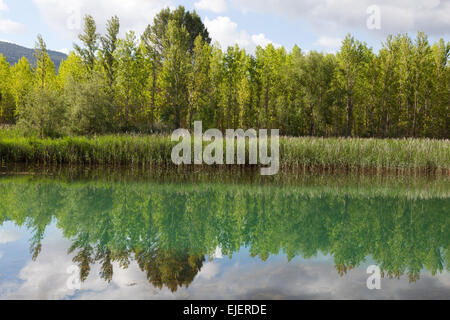 Marsh paysage spectaculaire de barrages et les forêts de La Alcarria, Guadalajara, Espagne Banque D'Images