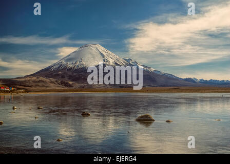 Vue pittoresque du volcan Nevado Sajama, plus haut sommet de Bolivie dans le parc national de Sajama Banque D'Images