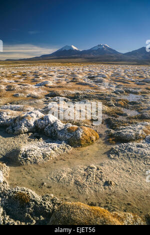 Vue panoramique sur les volcans de Bolivie, plus hauts sommets dans le parc national de Sajama en Bolivie Banque D'Images