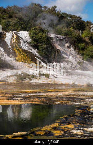 Près de la vallée géothermique Orakei Korako Taupo en Nouvelle-Zélande. Banque D'Images