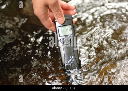 Westcounty Rivers Trust electro la pêche sur l'as été Webburn Rivière à Pitton Ferme, Parc National de Dartmoor Pont Devon, Angleterre Banque D'Images