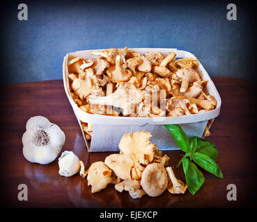 Assortiment de girolles à l'ail et basilic sur une table en bois Banque D'Images