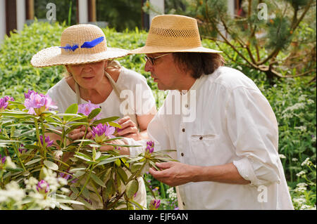 L'homme et la femme Senior Examiner les fleurs sur un rhododendron bush. Habillés à la légère. Un cadre vert Banque D'Images