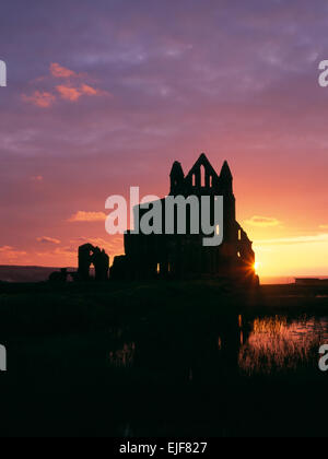 Silhouette de Whitby Abbey ruins à la NW au coucher du soleil. Vestiges d'une abbaye bénédictine normande reconstruit au début de 1220 de style anglais Banque D'Images