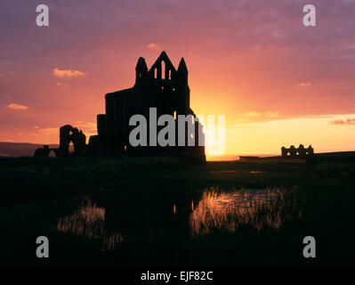 Silhouette de ruines l'abbaye de Whitby, North Yorkshire, à la NW au coucher du soleil : vestiges d'une abbaye bénédictine normande reconstruit au début de 1220 de style anglais Banque D'Images