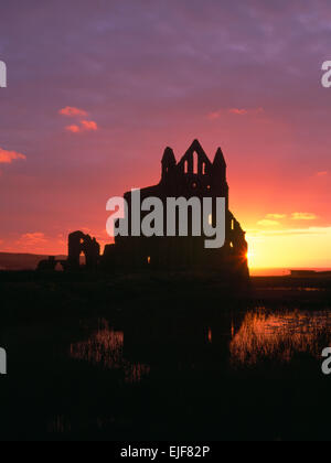 Silhouette de ruines l'abbaye de Whitby, North Yorkshire, à la NW au coucher du soleil. Vestiges d'une abbaye bénédictine normande reconstruit au début de 1220 de style anglais Banque D'Images