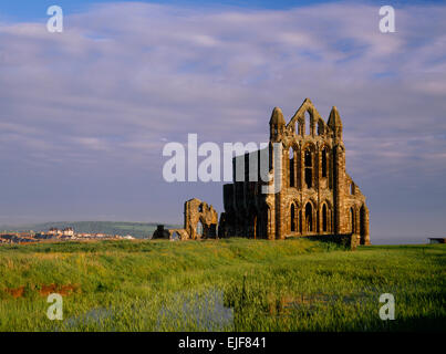 Ruines de l'abbaye de Whitby, North Yorkshire, à N au début du matin : demeure de Norman abbaye bénédictine reconstruite au début de 1220 de style anglais. Banque D'Images