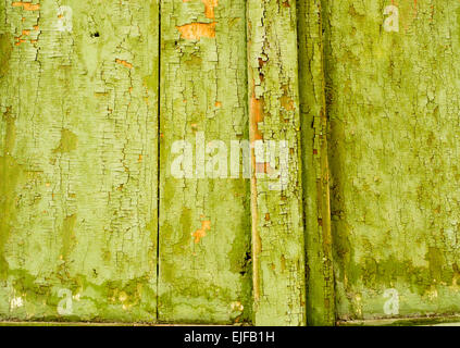 Peinture vert avec paillettes et sur le vieux bois de déroulage Banque D'Images