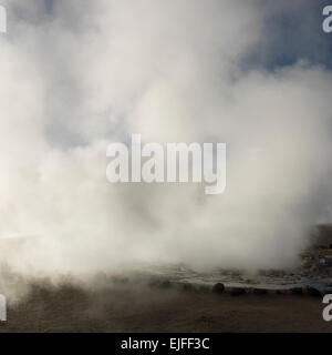 Geysers del Tatio, San Pedro de Atacama, El Loa Province, Région d'Antofagasta, Chili Banque D'Images