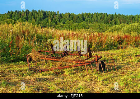 Paysage rural - fer rake-Remorque pour tracteur sur pré. Banque D'Images