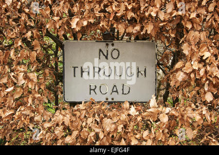 "Rue sans issue". Un porté disparu et panneau de circulation entouré par les feuilles d'un hiver brun hêtre haie. Dorset, Angleterre, Royaume-Uni. Banque D'Images