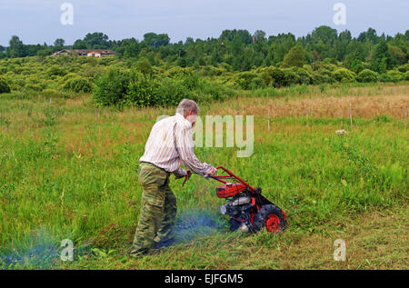 L'homme tond une pelouse avec herbe-tondeuse. Banque D'Images