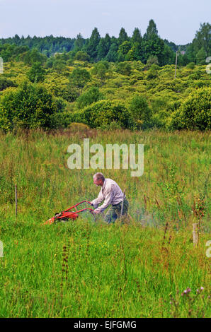 L'homme tond une pelouse avec herbe-tondeuse. Banque D'Images