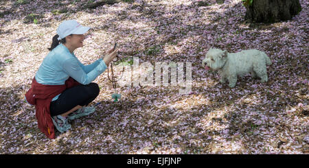 Femme avec son chien dans Central Park, à Manhattan, New York City, New York State, USA Banque D'Images