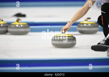 Vue générale, le 22 mars 2015 - Curliing : monde de curling féminin 2015 dernier match entre la Suisse et le Canada à Tsukisamu Gymnasium à Sapporo, Hokkaido, Japon. (Photo de (photo de Hitoshi Mochizuki/AFLO) Banque D'Images