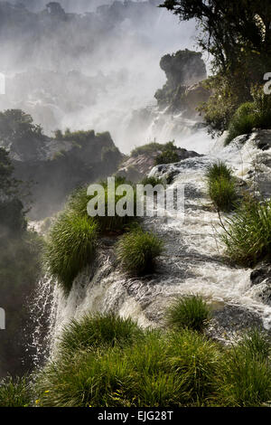 L'Argentine, Iguazu Falls, de l'eau coulant sur Salto Adan y Eva, (Adam et Eve) cascades Banque D'Images