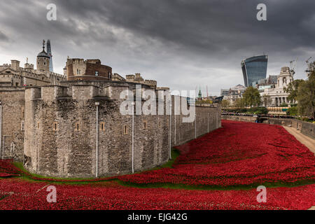 Tour de Londres et en céramique coquelicot rouge (conçu par Paul Cummins) installé comme un mémorial de guerre, UK Banque D'Images