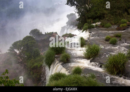 L'Argentine, Iguazu Falls, de l'eau coulant sur Salto Adan y Eva, (Adam et Eve) cascades Banque D'Images