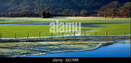 Piscines d'eau gelée dans les pâturages des terres agricoles de la vallée de Conwy sur une journée dans l'hiver glacial du Parc National de Snowdonia Gwynedd Banque D'Images