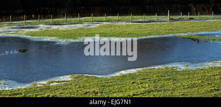 Piscines d'eau gelée dans les pâturages des terres agricoles de la vallée de Conwy sur une journée dans l'hiver glacial du Parc National de Snowdonia Gwynedd Banque D'Images