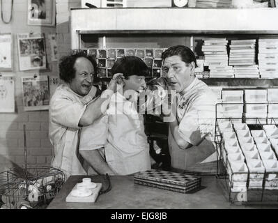 Les TROIS STOOGES trio comique américain vers 1960. De gauche à droite : Larry Fine, Curly Howard, Moe Howard Banque D'Images