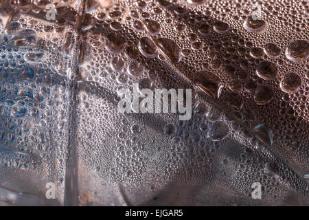 Arrière-plan de site web close-up en gouttes de la rosée Banque D'Images