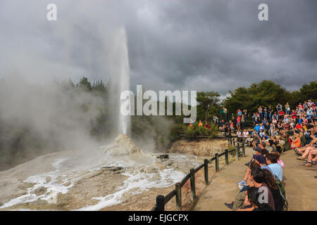 Regarder les gens pour l'éruption du Geyser Lady Knox au wai-O-Tapu Thermal Wonderland, île du Nord, en Nouvelle-Zélande. Banque D'Images