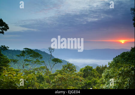 Lever de soleil vu de Cerro Pirre dans le parc national de Darien, province de Darien, République de Panama, Amérique centrale. Banque D'Images