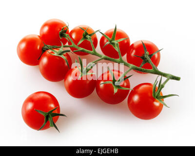 Tomates en Vittoris sur fond blanc Banque D'Images