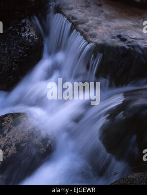 Une petite cascade haut sur la colline au-dessus de Rothiemurchus Forest, Aviemore, Scotland, UK Banque D'Images