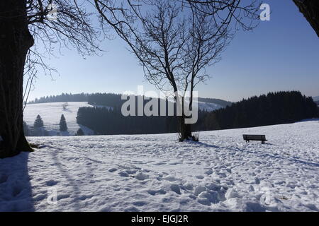 Sankt Andreasberg, Harz en hiver Banque D'Images