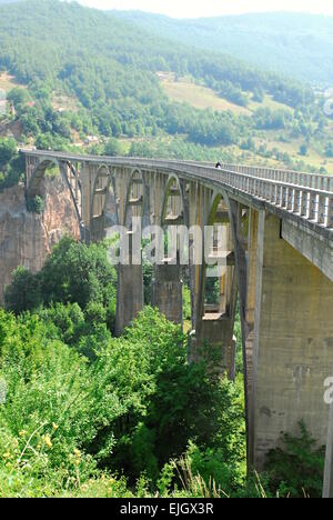 Pont sur la rivière Tara dans le parc national de Durmitor Banque D'Images