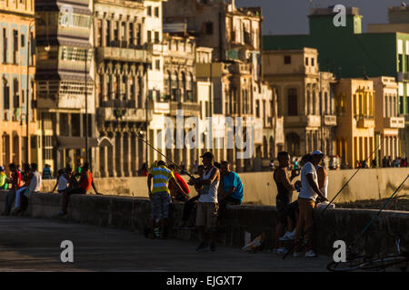 Les sections locales de pêche le Malecon. Banque D'Images