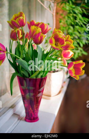 Bouquet de tulipes dans un vase Banque D'Images