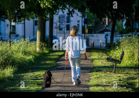 Une femme vêtue de blanc marche son petit chien noir dans un parc de Londres au crépuscule dans l'été Banque D'Images