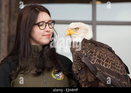 Troy, Michigan - un jeune de 25 ans l'aigle chauve nommé Challenger avec son maître à partir de l'American Eagle Foundation. Banque D'Images