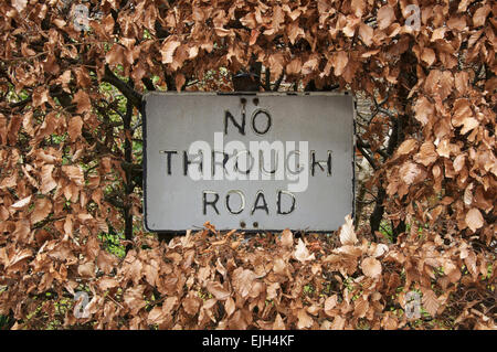 "Rue sans issue". Un porté disparu et panneau de circulation entouré par les feuilles d'un hiver brun hêtre haie. Dorset, Angleterre, Royaume-Uni. Banque D'Images