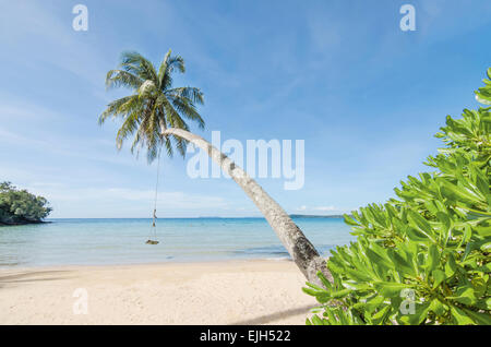 L'été, les voyages, vacances et Maison de Vacances - Swing concept pendre du cocotier plage mer arbre de plus à Phuket en Thaïlande,. Banque D'Images