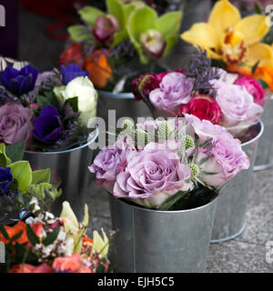 Bouquet de fleurs de printemps tulipes colorées., Ranunculus, jacinthe, Daisy, anemone. Banque D'Images