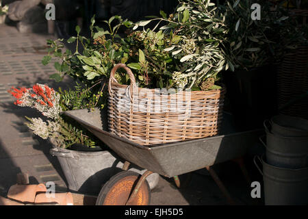 Panier en osier avec des branches vertes dans un chariot de jardin à la boutique Banque D'Images