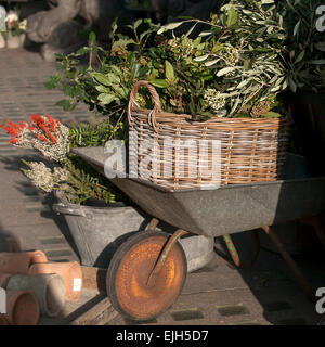 Panier en osier avec des branches vertes dans un chariot de jardin à la boutique Banque D'Images