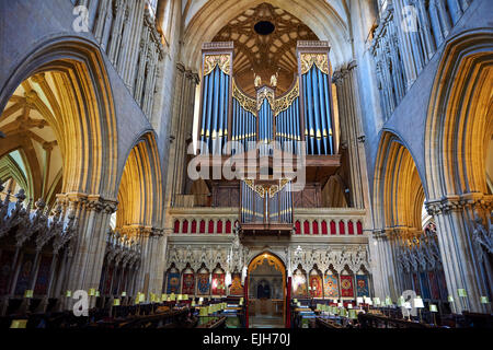 Intérieur et de l'organe de la cité médiévale de la cathédrale de Wells construit au début du style gothique anglais en 1175, Wells, Somerset, Angleterre Banque D'Images
