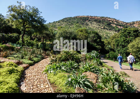 Johannesburg Afrique du Sud,Roodepoort,Walter Sisulu National Botanical Garden,Witwatersrand,géologique,homme hommes,marche,nature,randonnée,sentier,SAfri1503 Banque D'Images