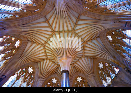 Voûte de l'intérieur de la salle capitulaire de la cathédrale de Wells la cité médiévale construite au début du style gothique anglais en 1175, Banque D'Images