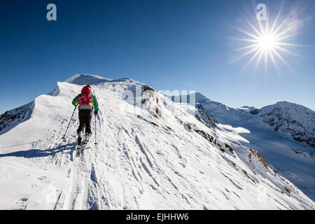 Ski de randonnée ascension à l'Suldenspitz, sur la crête, Cevedale et Zufallspitz derrière, Solda, région de l'Ortler Alpes Ortler, Stelvio, Banque D'Images