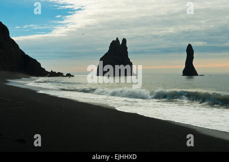 Pinnacles de Reynisdrangar, Vik i Myrdal, Mýrdalur, Région du Sud, Islande Banque D'Images